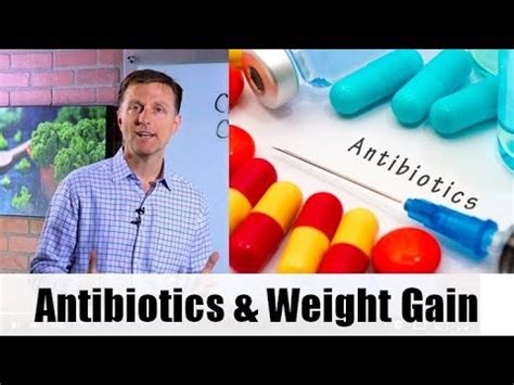 naugty antibiotics weight gain
